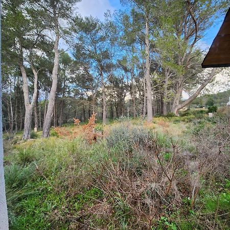 קוז'-לה-פה A L'Oree Des Pins - Gite Et Spa De 30 M2- Home Cinema Et Massage En Sup מראה חיצוני תמונה