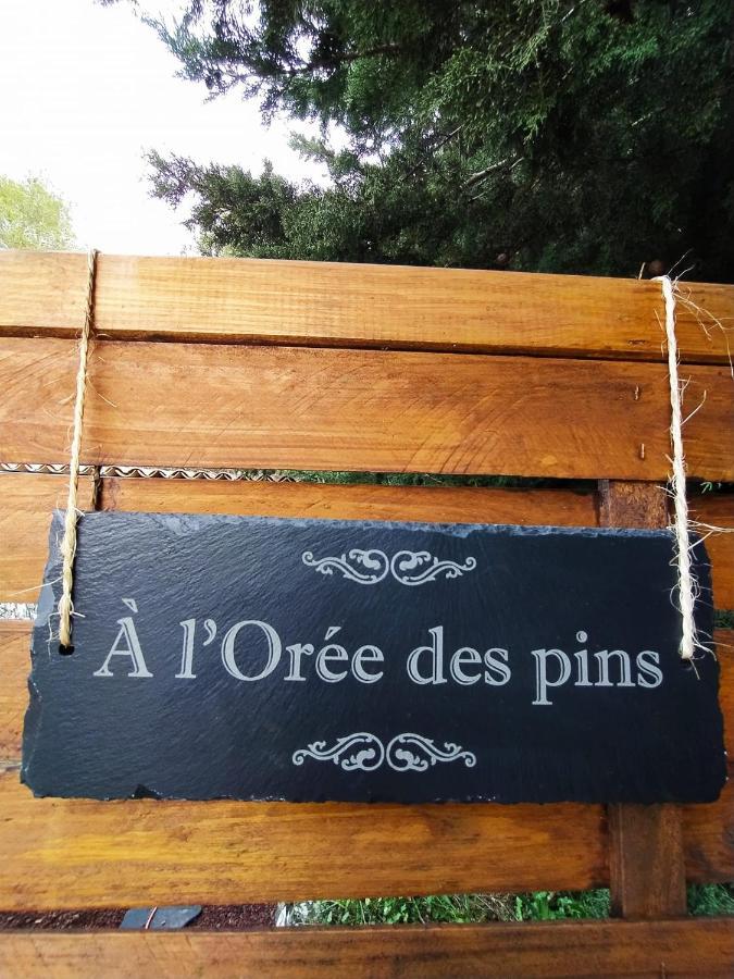 קוז'-לה-פה A L'Oree Des Pins - Gite Et Spa De 30 M2- Home Cinema Et Massage En Sup מראה חיצוני תמונה
